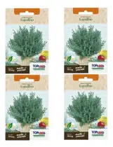 Kit 4 Sementes Tomilho (timo) Topseed Saladas Hortas Mudas Kit 4 Sementes Tomilho (timo) Topseed Saladas Hortas Mudas