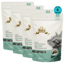 Kit 4 Snacks Hana Healthy Life Cat Sensations Gatos Adultos-