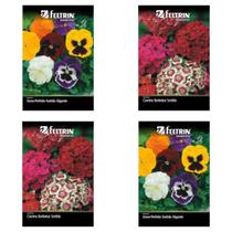 Kit 4 un de sementes de plantas ornamentais feltrin Kit 4 un de sementes de plantas ornamentais feltrin