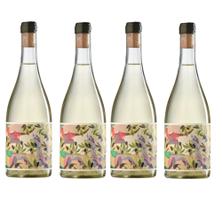 Kit 4 Un Vinho Bebber Giardino Sauvignon Blanc 750 ml Kit 4 Un Vinho Bebber Giardino Sauvignon Blanc 750 ml