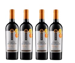 Kit 4 Un Vinho Casa Geraldo Colheita de Inverno Gran Reserva Cabernet Franc 750 ml