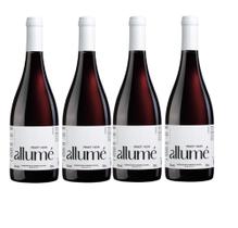 Kit 4 Un Vinho Pizzato Allumé Pinot Noir 750 ml