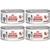 Kit 4 Unidades Royal Canin Recovery Lata 195g - Alimento Úmido para Cães e Gatos em Recuperação Kit 4 Unidades Royal Canin Recovery Lata 195g - Alimento Úmido para Cães e Gatos em Recuperação