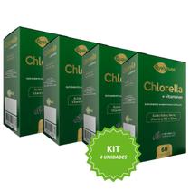 Kit 4 Unidades Suplemento de Algas Verdes QualyNutri com Zinco Ferro e Vitamina B12 Suporte Nutricional Completo em Cápsulas Combo 240 Cápsulas
