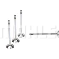 Kit 4 Válvula admissão Sprinter Van 2012 a 2024 Metal Leve