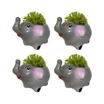 Kit 4 Vasinhos Chachepot, Para Plantas e Suculentas Elefante