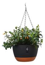 Kit 4 Vasos Supenso Corrente De Pendurar Samambaias C P Pret