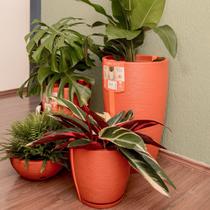 Kit 4 vasos terracota para decoração de plantas-alto padrão