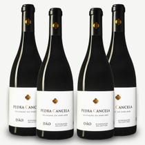 Kit 4 Vinho Tinto Seco Pedra Cancela Seleção do Enólogo 750ml Português Elegante Aromas de Frutas e Toque de Cacau Macio Equilibrado Encorpado Dão