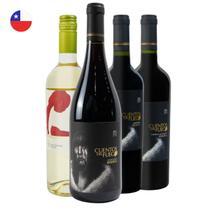 Kit 4 Vinhos Chilenos Reserva Pinot Noir Carmenere Cabernet e Sauvignon Blanc Cuentos del Fuego