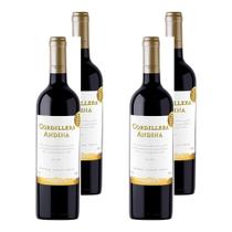 Kit 4 Vinhos Cordillera Andina Syrah Tinto Chile 750ml