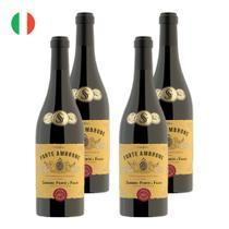 Kit 4 Vinhos Forte Ambrone Vino Rosso dItália Tinto 750ml