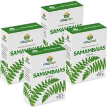 Kit 4x Adubo Fertilizante Mineral p/ Samambaias c/ 150g VITAPLAN