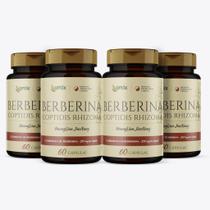 Kit 4x - Berberina - 60 cápsulas