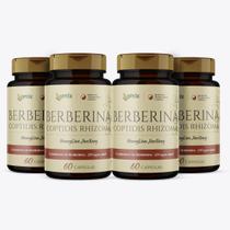 Kit 4x - Berberina - 70 cápsulas - Omix