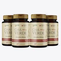 Kit 4x - Chá Verde - 60 cápsulas - Omix
