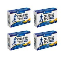 Kit 4x Colágeno Tipo II 40mg 4x60 cps Flora Nativa Kit 4x Colágeno Tipo II 40mg 4x60 cps Flora Nativa