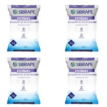 Kit 4x Elevador Alcalinidade Sibrape 2kg Manutenção Piscina Kit 4x Elevador Alcalinidade Sibrape 2kg Manutenção Piscina
