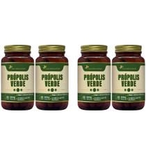 Kit 4x Extrato Seco Própolis Verde 60 Capsulas 500mg