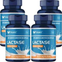Kit 4x Lactáse 400mg por cápsula 60 cápsulas Muwiz Kit 4x Lactáse 400mg por cápsula 60 cápsulas Muwiz