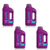 Kit 4X Limpa Bordas Domclor 1L Limpeza Para Piscina