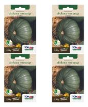 Kit 4x Sementes Abóbora Moranga Coroa Horta Em Casa Cultivo Kit 4x Sementes Abóbora Moranga Coroa Horta Em Casa Cultivo