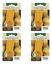 Kit 4x Sementes De Abóbora Menina Creme Butternut Para Mudas Kit 4x Sementes De Abóbora Menina Creme Butternut Para Mudas
