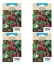 Kit 4x Sementes Morango Silvestre Ornamental Frutífera 60mg Kit 4x Sementes Morango Silvestre Ornamental Frutífera 60mg