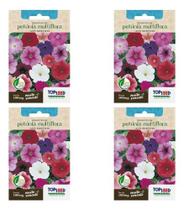 Kit 4x Sementes Petúnia Multiflora Anã Sortida Topseed 100mg