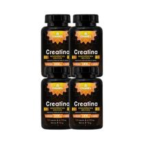 Kit 4x Suplemento Creatina 500mg 120 Cápsulas - CHAMEL