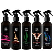 Kit 5 Aromatizadores de Ambiente Spray - Rota 66 - Viking