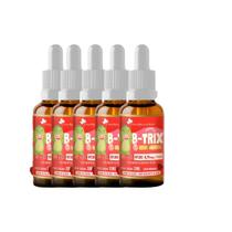 Kit 5 B-TRIX Vitamina B12 Infantil 5x20ml Morango Flora Nativa Kit 5 B-TRIX Vitamina B12 Infantil 5x20ml Morango Flora Nativa