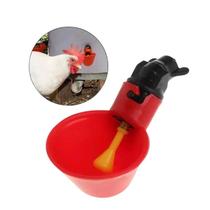 Kit 5 Bebedouros Para Frango Galinha Aves Enchimento Automático