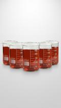 Kit 5 Béqueres Vidro Baixo Graduado 250ml Kit 5 Béqueres Vidro Baixo Graduado 250ml