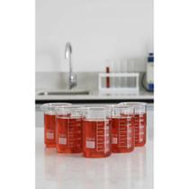 Kit 5 Béqueres Vidro Forma Baixa 250ml Graduado Laboratório