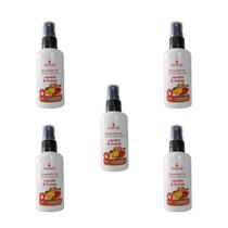 Kit 5 Bloqueador de Odor Canela e Frutas Sanitário N2 de 60ml - Envio Já