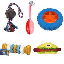 Kit 5 Brinquedos Cachorro Grande Mordedor Bola HotDog Disco Resistente