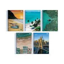 Kit 5 Caderno Espiral 1/4 Capa Flexível 96F Brasilidade Jandaia