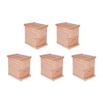 Kit 5 Caixas Abelha Padrão Langstroth Eucalipto 2 Melgueiras Arrame/Ilhós Kit 5 Caixas Abelha Padrão Langstroth Eucalipto 2 Melgueiras Arrame/Ilhós