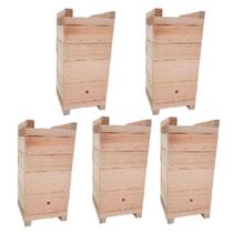 KIT 5 Caixas Inpa Abelhas Sem Ferrão Eucalipto 12x12