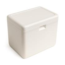 Kit 5 Caixas Isopor Pereciveis Medicamentos Alimentos 3 L