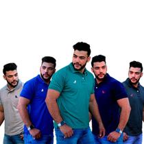 Kit 5 Camisas Gola Polo Direto Da Fabrica Da Estilo Rei