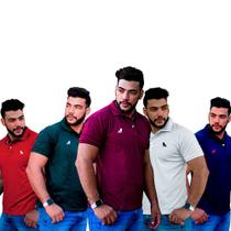 Kit 5 Camisas Polo original Estilo Rei Escolha Suas Cores