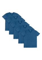 Kit 5 Camisetas Básicas Masculina Flamê Com Decote V