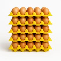 Kit 5 Cartela De Ovos Plástica Bandeja 30 Ovos Higiênica