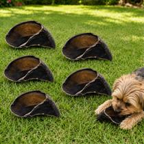 Kit 5 Casco Boi 100% Natural Mordedor Caes Bovino Petisco Pet