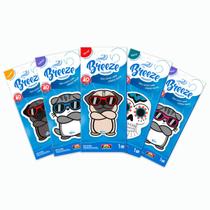 Kit 5 Cheirinhos p/ Carro Perfume Automotivo Sortidos Breeze