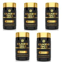 Kit 5 Colágeno Tipo II Premium 500mg 5x60 cps Floral Ervas