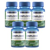 Kit 5 Complexo B Suplemento alimentar Catarinense 60 Cápsulas
