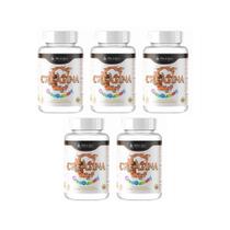 Kit 5 Creatina CreaGummy 5x60 Gomas Sabor Laranja IdnLabs